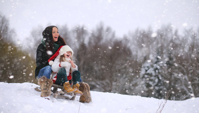 Sledding through the winter landscape