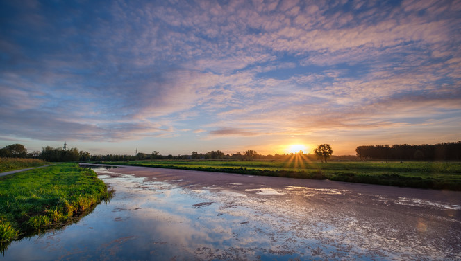 Midden-Delfland