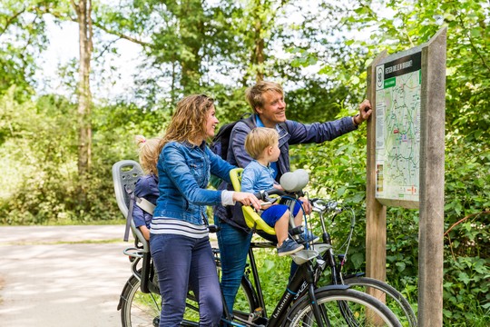 Fietsen omgeving delft